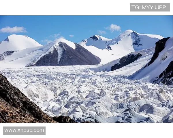 飓风来袭下的防御与正义之战如何守护人类的未来与尊严